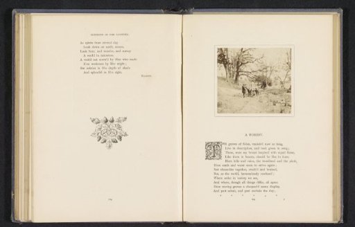 Two men and a horse in a forest