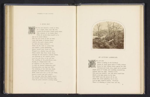 Hunter in a Forest