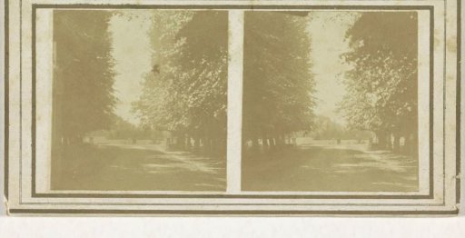 Avenue in front of Weldam at Goor