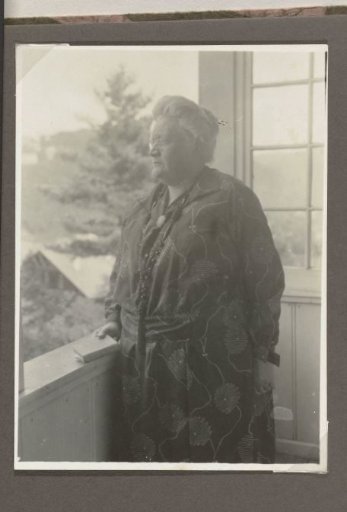 Portrait of Grietje Vermeulen-Luitjes by the window