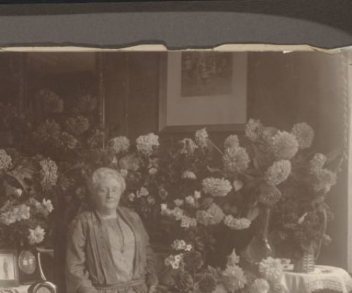 Portrait of Grietje Vermeulen-Luitjes among forests of flowers