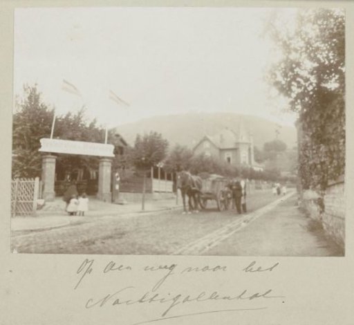 Street view with a horse-drawn carriage, Königswinter