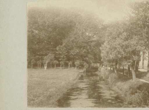 Ditch and meadow
