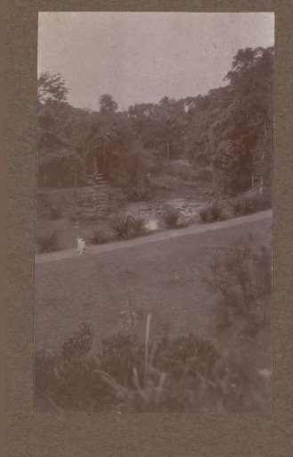 Path Through a Wooded Area in the Dutch East Indies, with a European Couple and Child in the Foreground on the Left