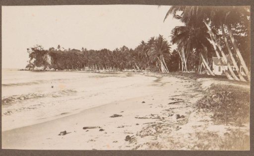 Seaside View with a House and Palm Trees in the Dutch East Indies