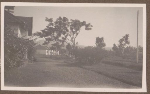 Street with houses, possibly dwellings on a plantation in the Dutch East Indies