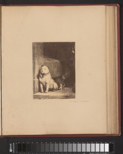 Photographic reproduction of an engraving of a dog in a doorway, after a painting by Edwin Henry Landseer