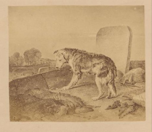 Photographic reproduction of a print depicting a dog at the grave of its owner