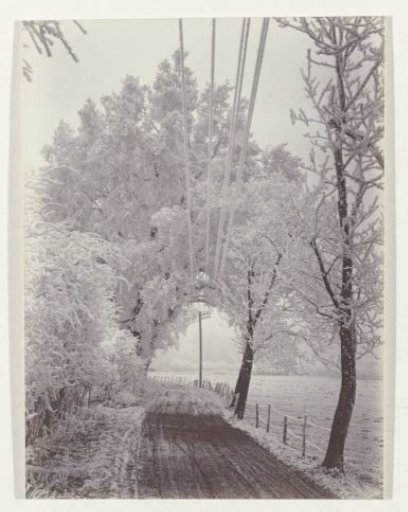 Winter landscape along the Aelbertsbergweg in Bloemendaal