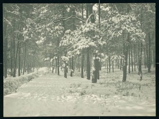 Park Berg en Bosch in Apeldoorn