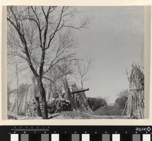 Camouflaged Cannon, China
