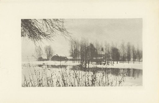 Snow Landscape