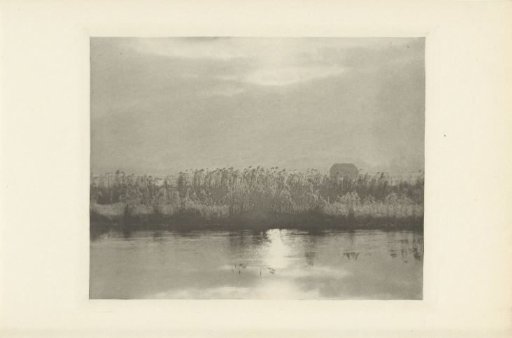 Water with Cornfield