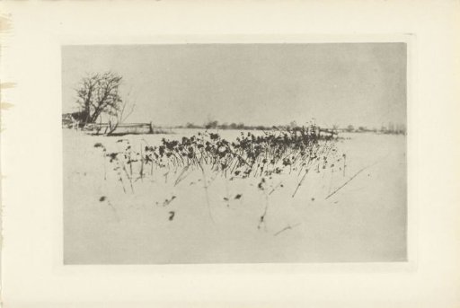 Winter Landscape
