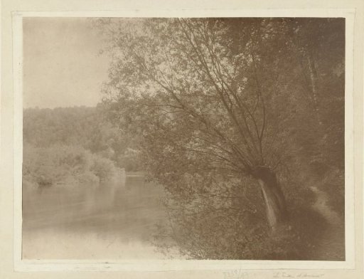 River landscape with trees