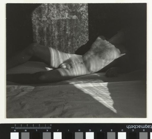 Male Nude (Carlos McClandon)