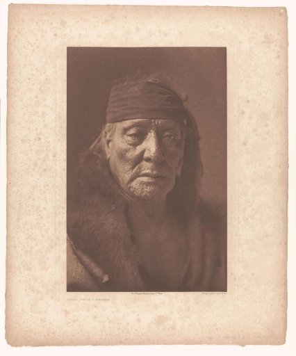 Portrait of Bear's Teeth