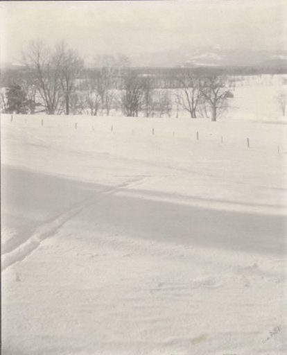 Snow landscape