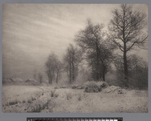 Landscape in the snow