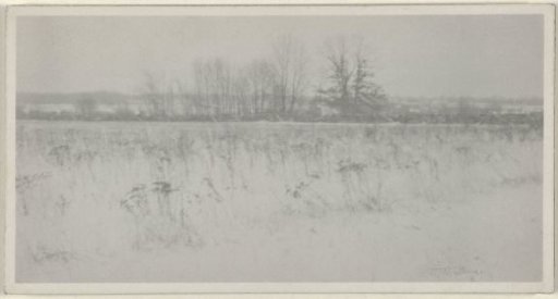 Winter landscape