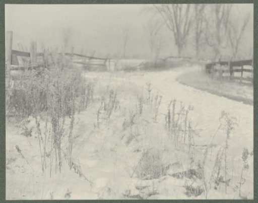 Snowy Landscape in the Countryside