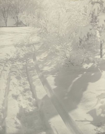 Tracks in the Snow