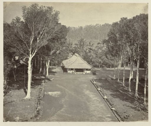 Avenue to the Borobudur