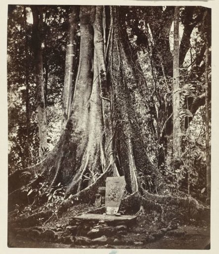 Sacrificial place with ancestor images, Kawali, Ciamis district West Java province, 14th - 16th century.