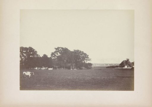 Landscape with Farmhouses and a Cow in a Meadow