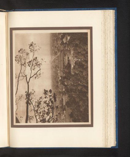 View of Peking