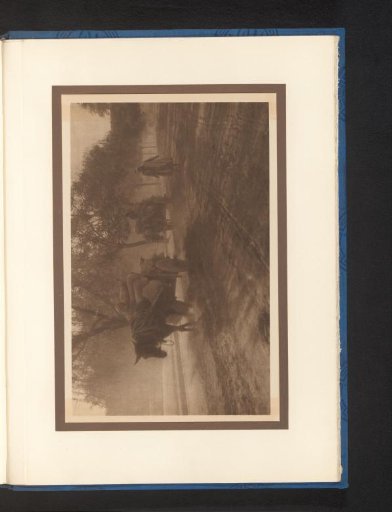 Road with a horse-drawn cart