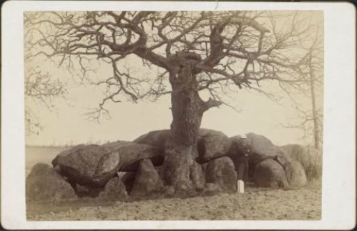 Dolmen with Oak Tree and Standing Man, Drenthe