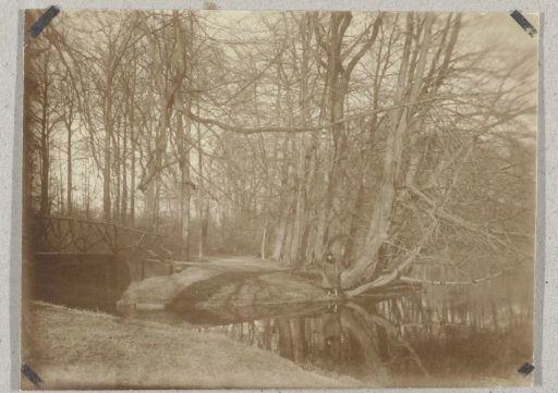 View in the Haagse Bos
