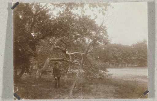 View in the Meijendel near Wassenaar and The Hague