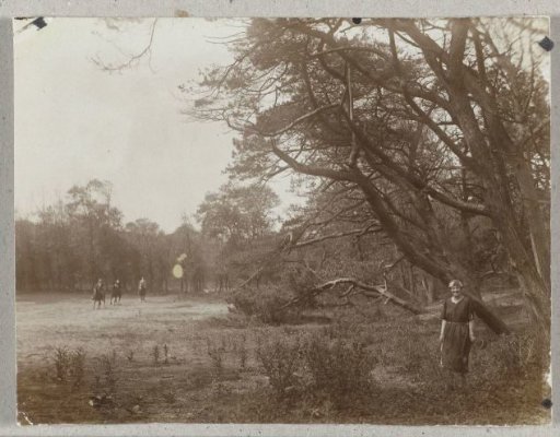View in the Meijendel near Wassenaar and The Hague