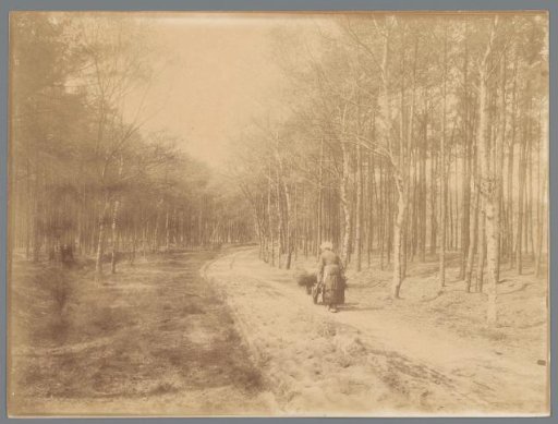 Tree-lined avenue at Maarn, seen from behind an old woman transporting a cart with brushwood