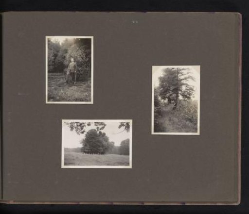 Mr. and Mrs. Berti Hoppe and Herman Besselaar in the woods at Gorssel