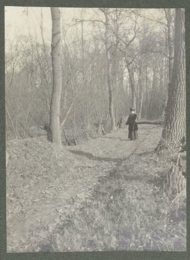 Margo J.J. Kessler-de Lange on a forest path on the estate De Pauw in Wassenaar