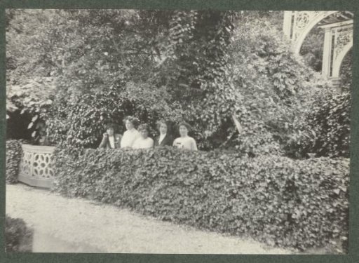 Five women in a row behind a hedge