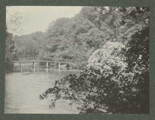 Bridge over water in a densely wooded area