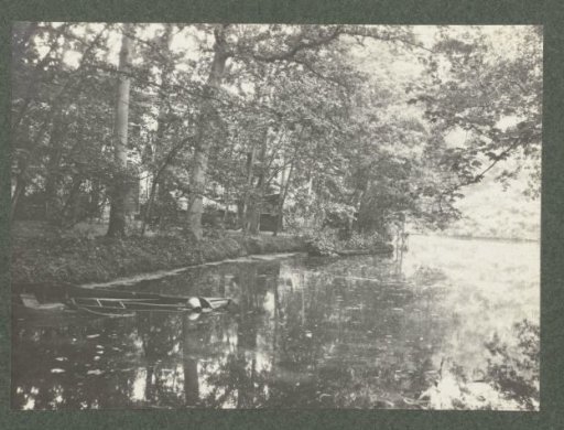Sunk rowboat in a densely wooded area