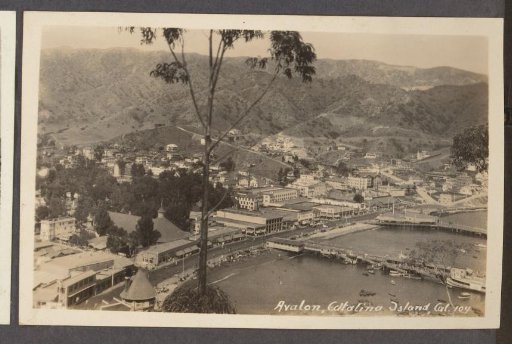 View of Avalon