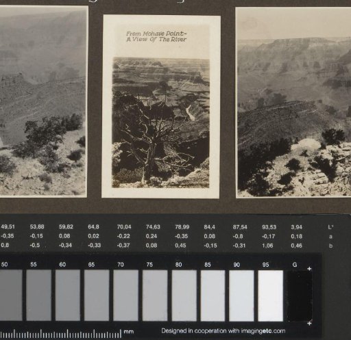 View of the Colorado River from Mohave Point
