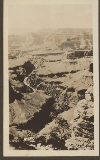 View of the Grand Canyon