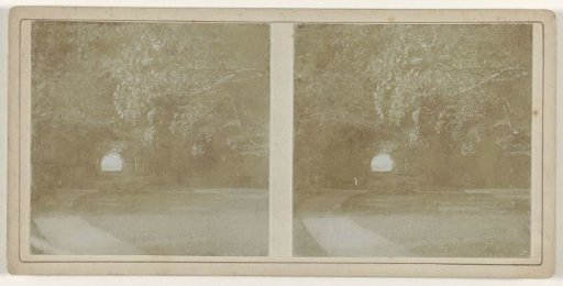 Lake situated in a park