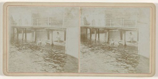 Swimming under the bridge near Ter Horst Castle in Loenen