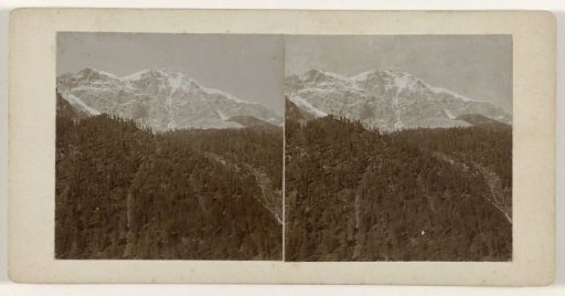 View of a mountain landscape seen from a wooded environment, Austria