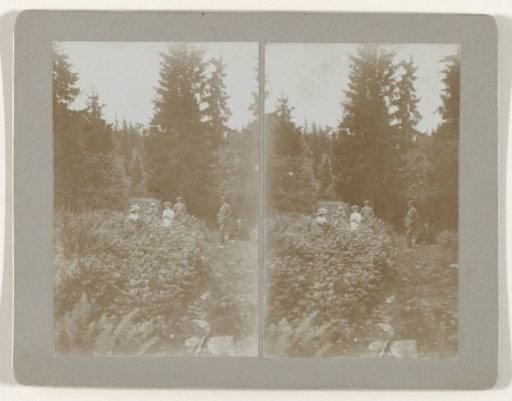 Family Kessler during a walk in the Norwegian forest landscape