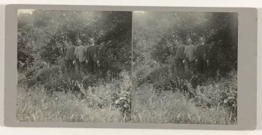 Portrait of three men in suits before bushes