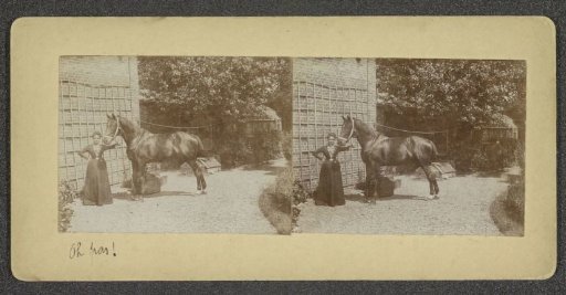 Woman Standing by a Horse